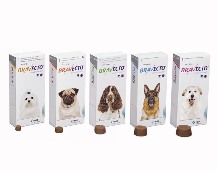 125e1f327bdf17d479b877f33bd21cef.jpg Bravecto antiparasitaire pour chiens