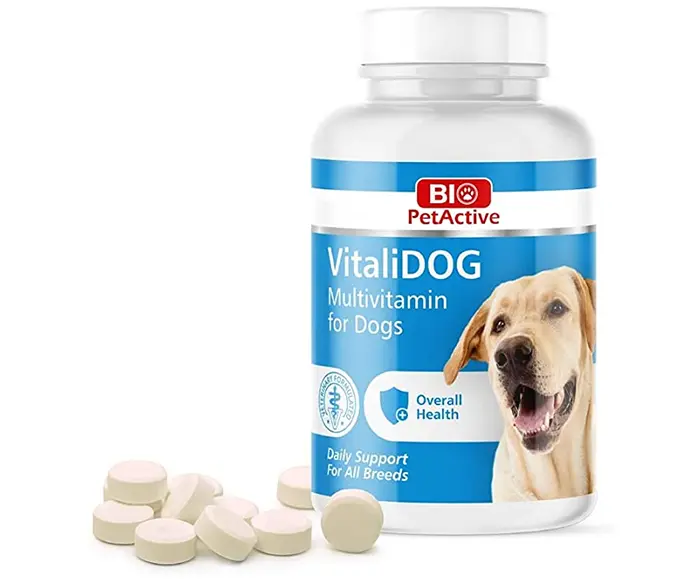 16b748ef6b56bc97cb7438098b716729.webp Multivitamine pour chien - Bio PetActive