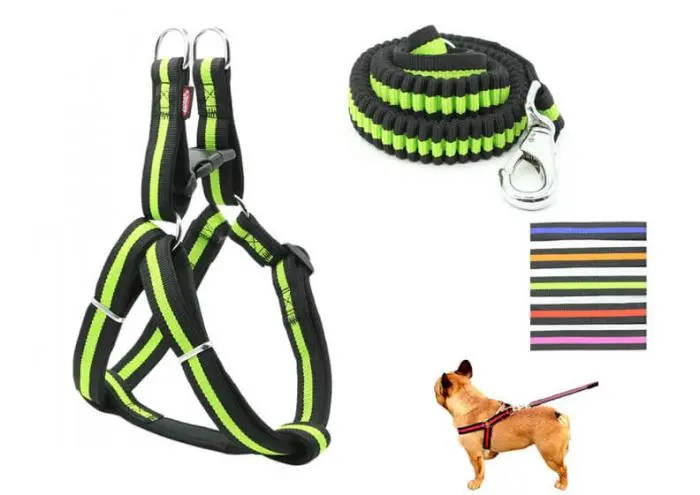 1f433d7265b528d2550ccee8e6669503.webp harnais avec laisse pour chiens