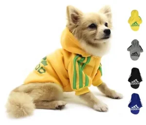 capuchon pour chien