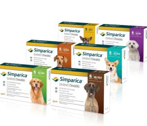 simparica antiparasitaire pour chiens
