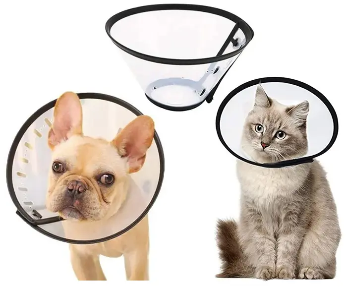 38073880cecc2f502a4a85e91648b97d.webp Collerette Carcan pour chat et chien