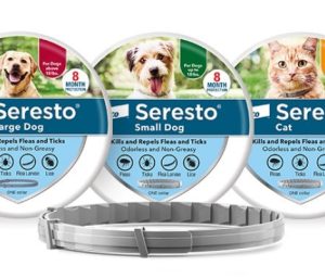 Collier antiparasitaire Seresto pour chat et chien