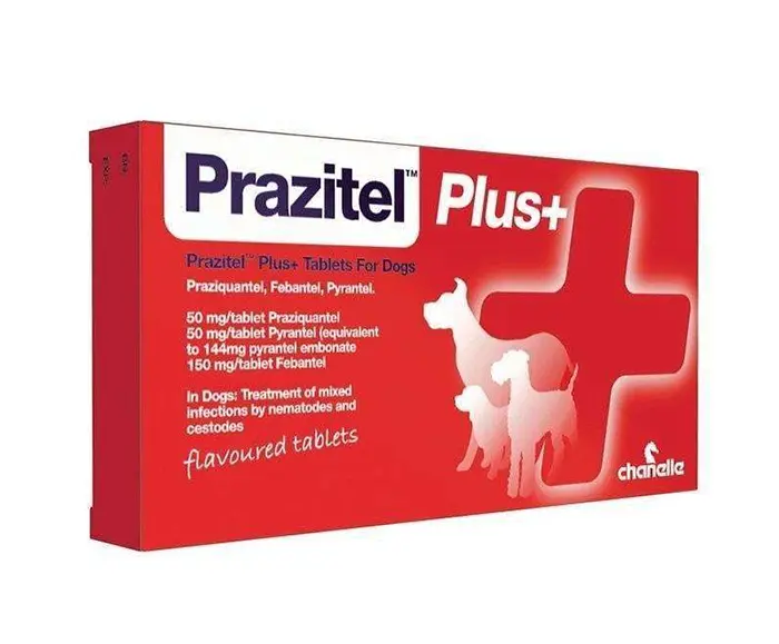 7be61604490aa306ad1d2d6228b2db05.webp prazitel plus vermifuge antiparasitaire pour chien
