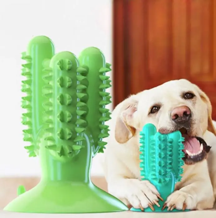 8455135afbcc695422a8df1f34a87a83.webp Jouets cactus en caoutchouc naturel pour chien