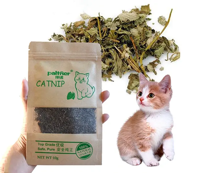 916ed4c8cf6d0599a2276bab017d046e.webp Herbe à chat Catnip naturel