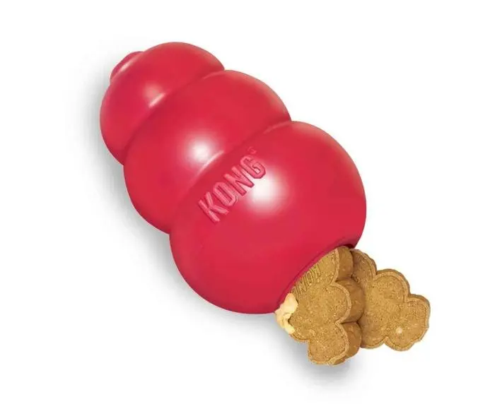 a66b2ec017bd383a80716a0144019bca.webp Kong pour chien