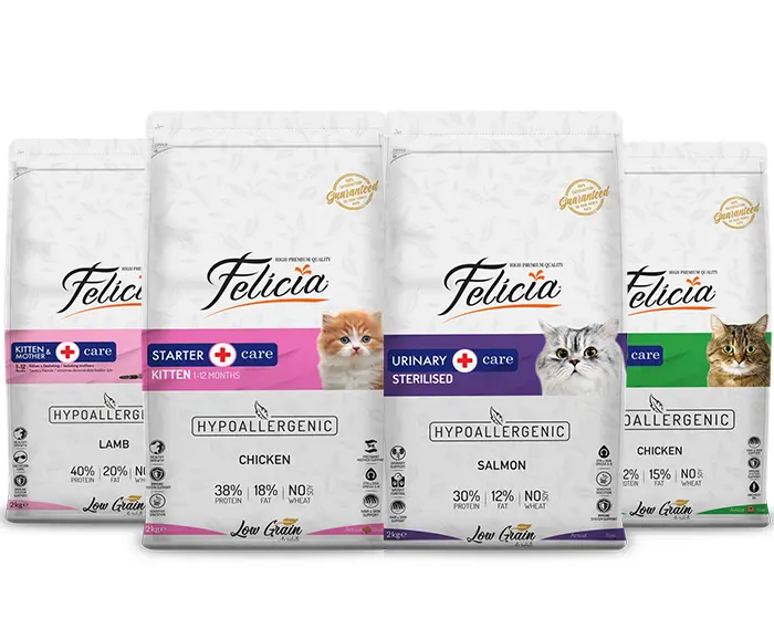 aa74006230f6469dc45ab1bb37547068.webp croquette Felicia pour chat et chaton 2Kg