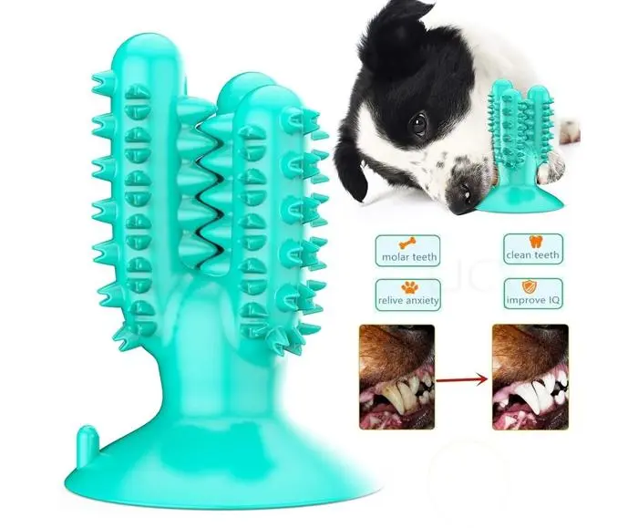 ade53bdaee890badb78fdc62ff777c27.webp Jouets cactus en caoutchouc naturel pour chiens