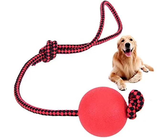 b09b137b8dce343e70f604b2eda1b07e.webp balle de jeu et entrainement pour chien