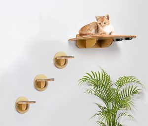 Étagères murales d'escalade pour chat