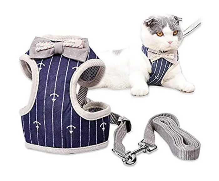 c00d7be897a21a2c0f4b1231fe9c61c3.webp harnais avec laisse pour chat
