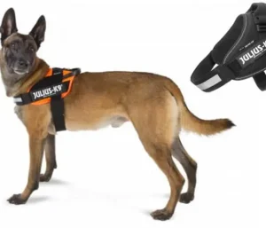Harnais pour chiens