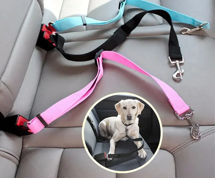 c221c8c81540a0958b7f88acb89563ff.webp Ceinture de sécurité voiture pour chien et chat