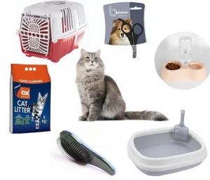 Pack essentiel pour nouveau chat