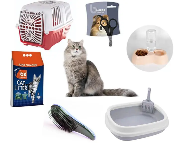 e290b330a49eb84e18e941e08f2ae132.webp Pack essentiel pour nouveau chat