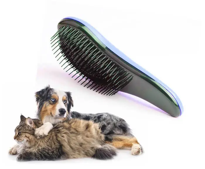 f84788f82e1bd5127c2d03afe211bd95.webp Brosse pour chats et chiens