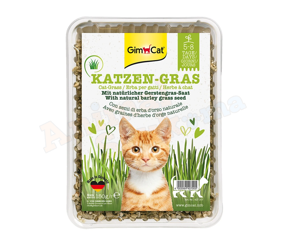ca GimCat Herbe à Chat 150g
