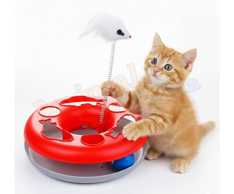ssjks Circuit de Jeu Interactif 1-en-1 "Chasse & Éveil" pour Chats